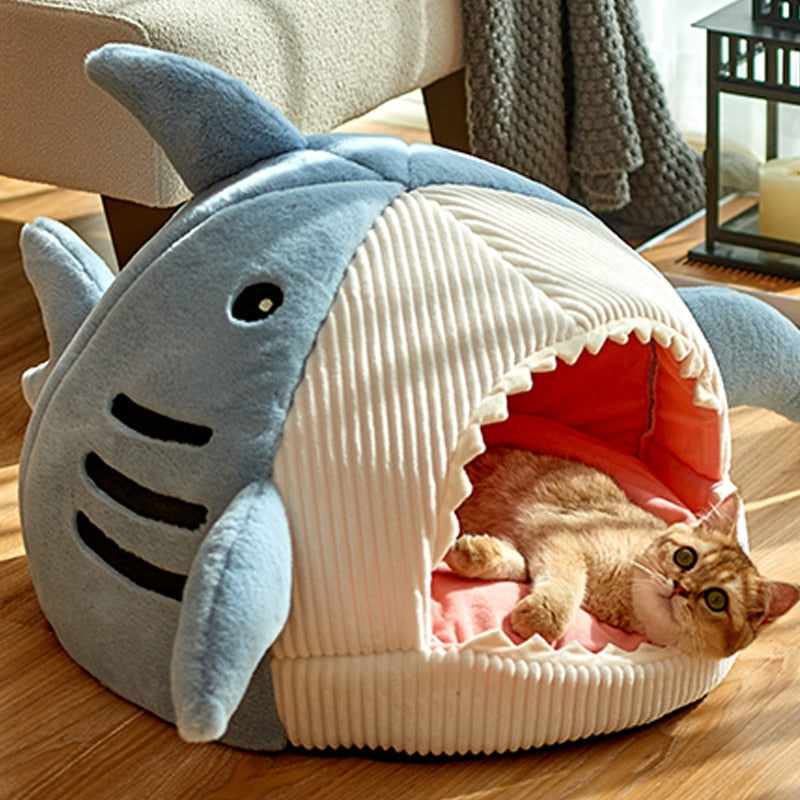 Caminha para gatinhos - Baby Shark