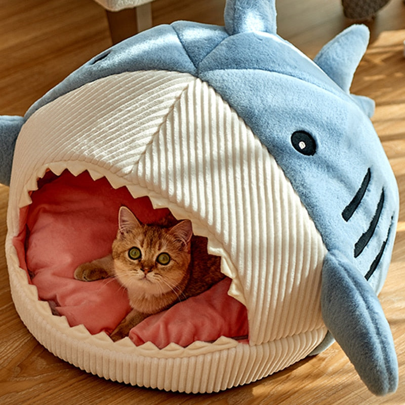 Caminha para gatinhos - Baby Shark